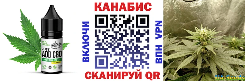 купить наркотик  Покров  мега вход  Печенье с ТГК конопля 