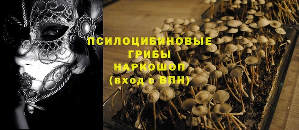 прущая мука Аркадак