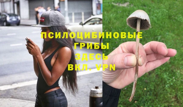 МДМА Арсеньев